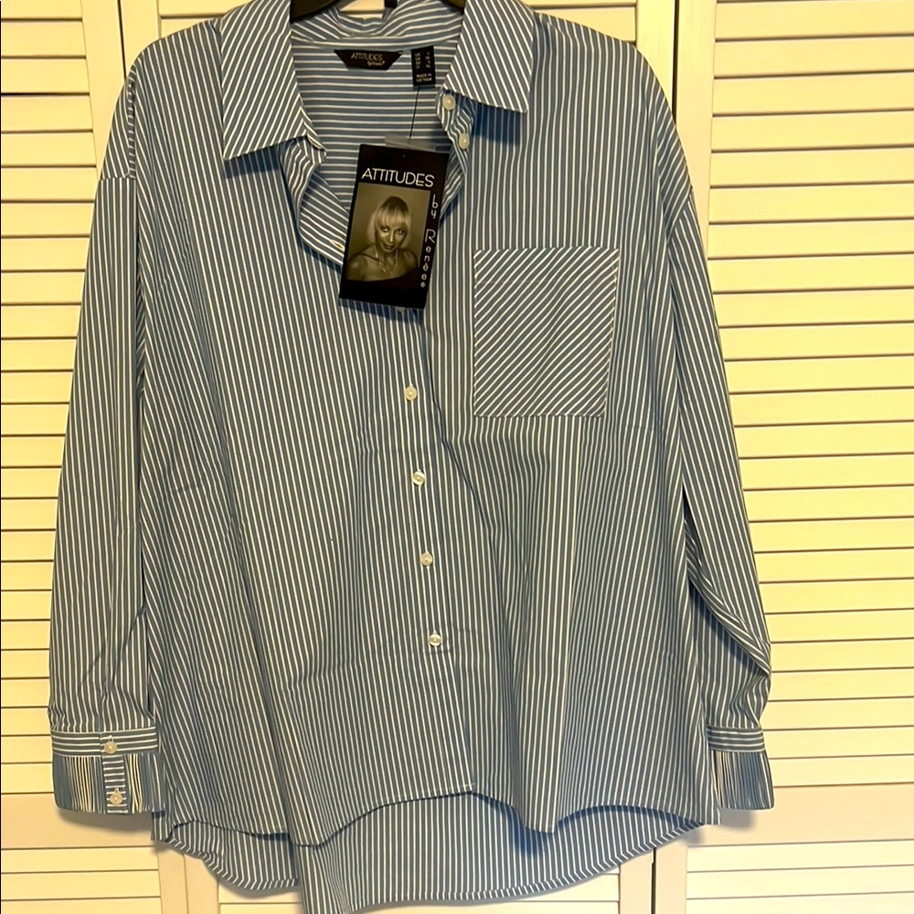 Women’s classic button down shirt. Brand new. Never worn. Attitudes by Renee